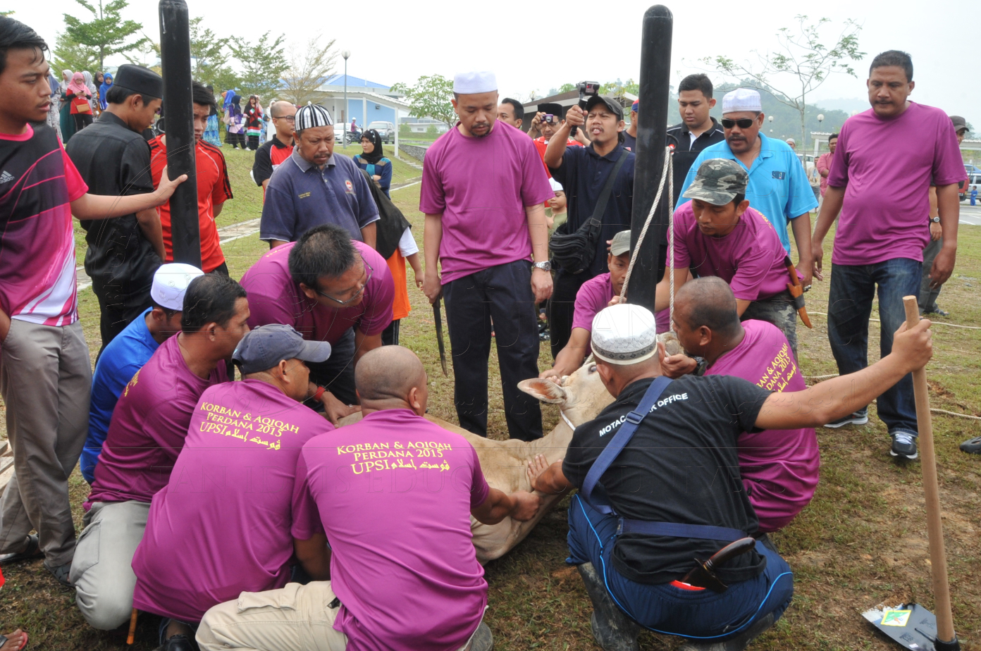 PRO15 150 KORBAN HAS 6701